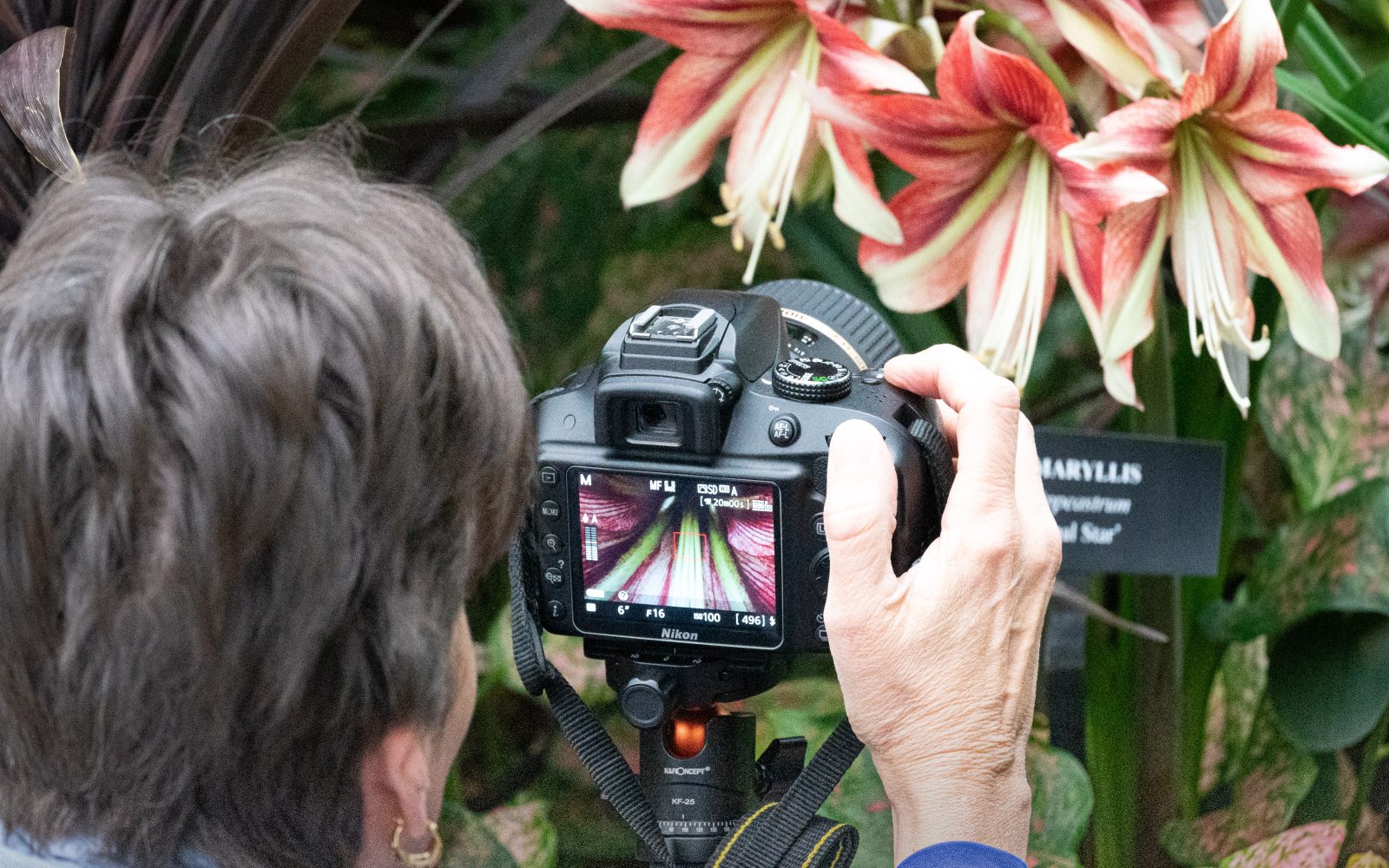 Give The Gift Of Longwood Gardens Longwood Gardens